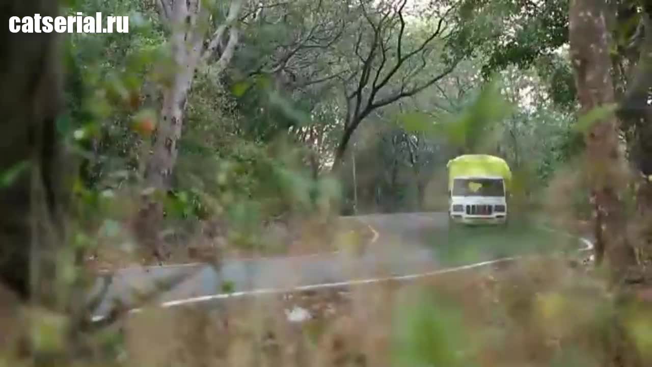 Друзья: условия применимы 24 серия Друзья: условия применимы 24 серия