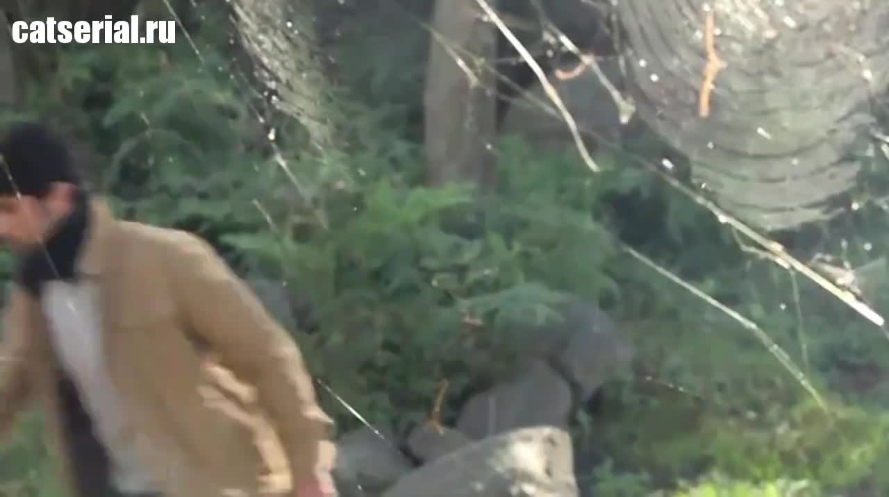 Друзья: условия применимы 4 серия