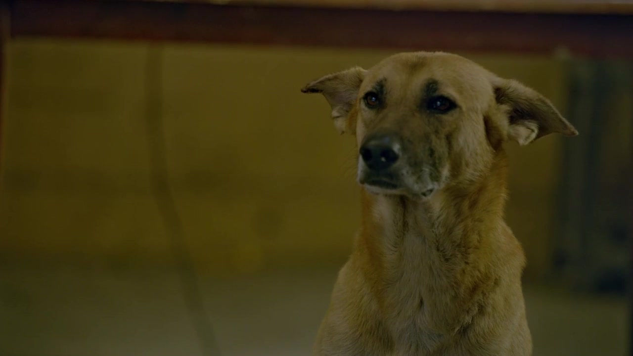 Дыши (2018) 3 серия