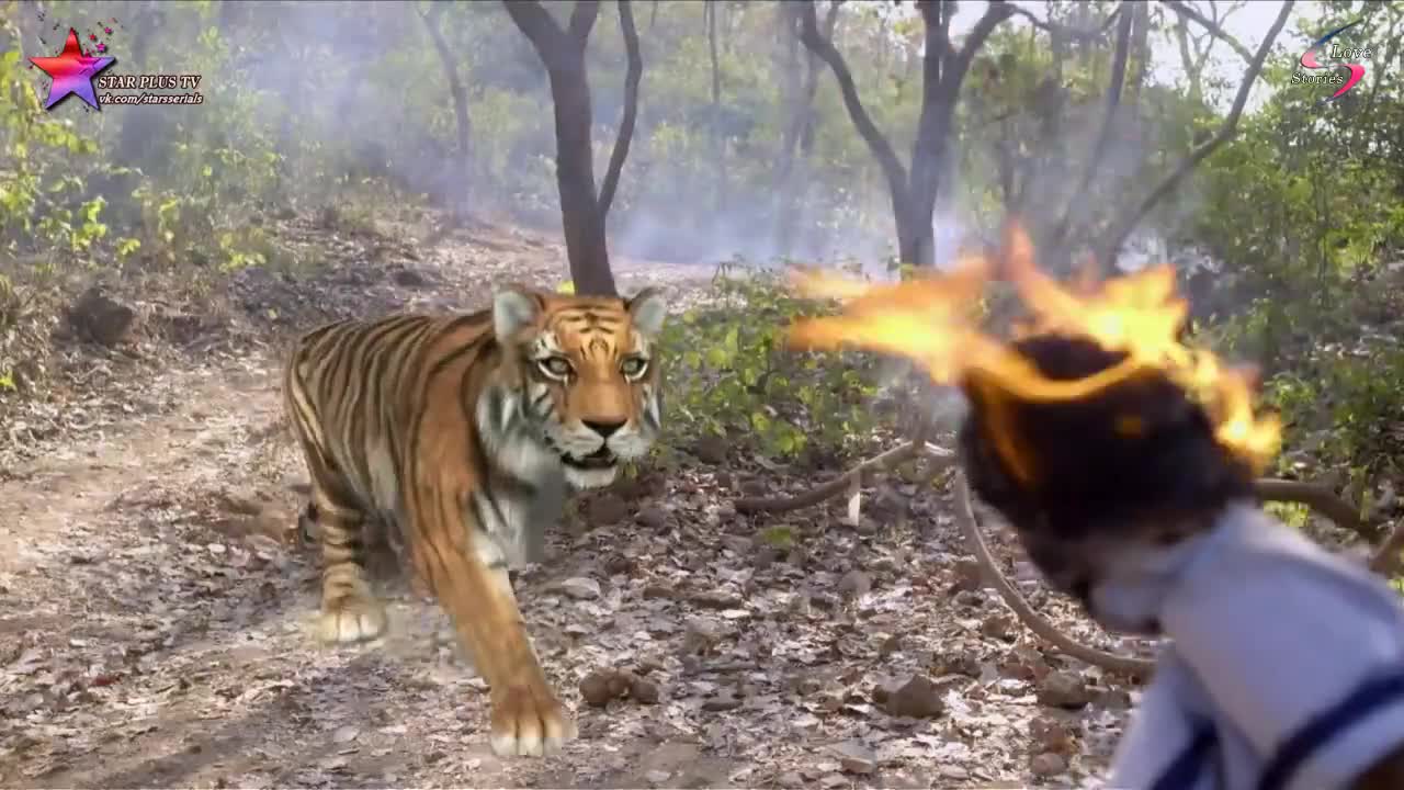 Жертва 208 серия Жертва 208 серия