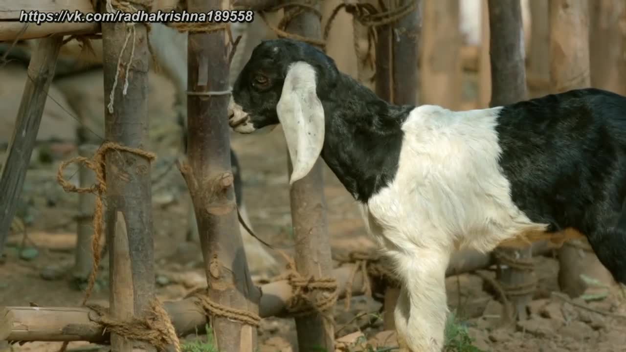 Иисус 34 серия Иисус 34 серия