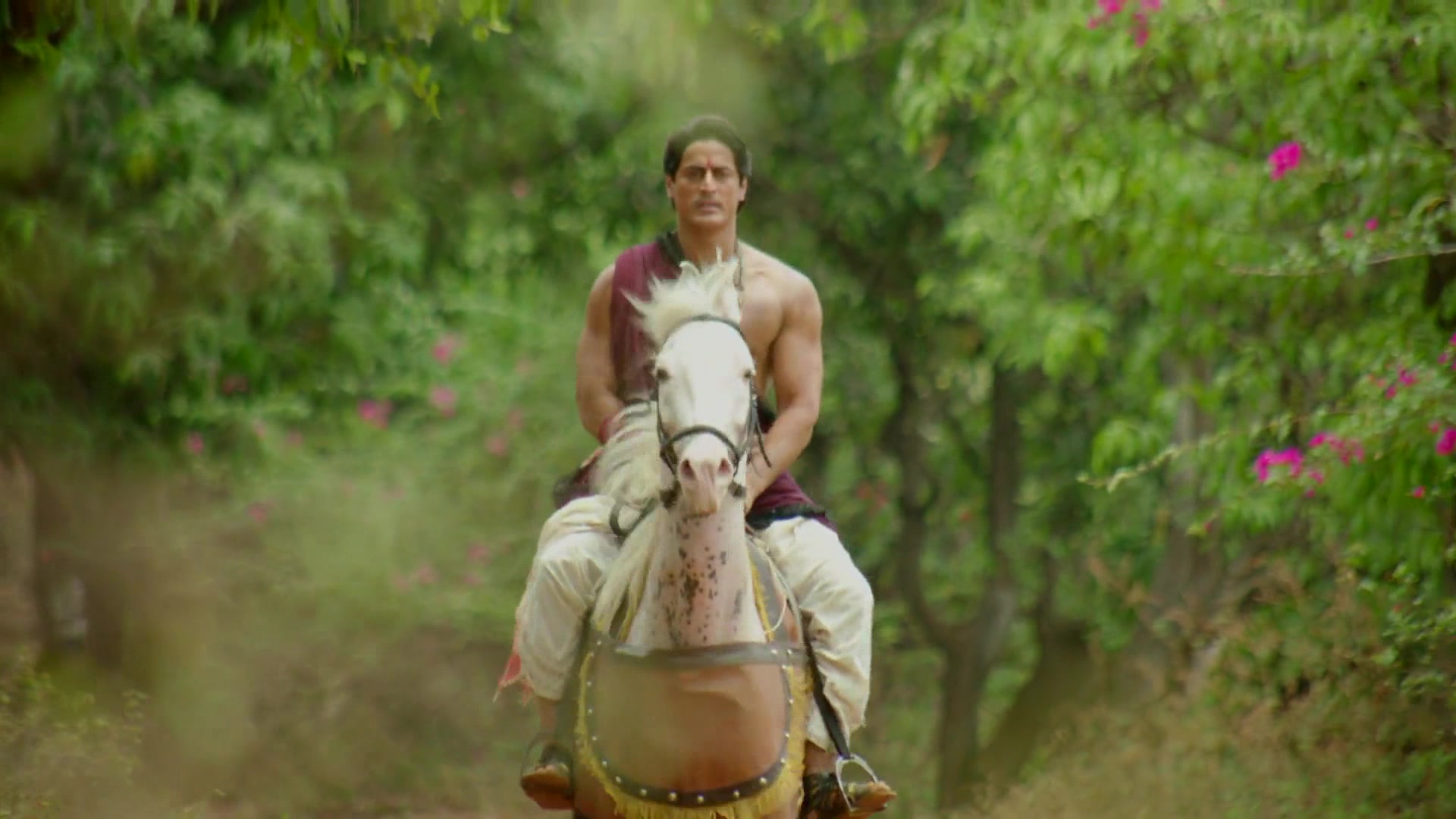 Император Ашока 355 серия Император Ашока 355 серия