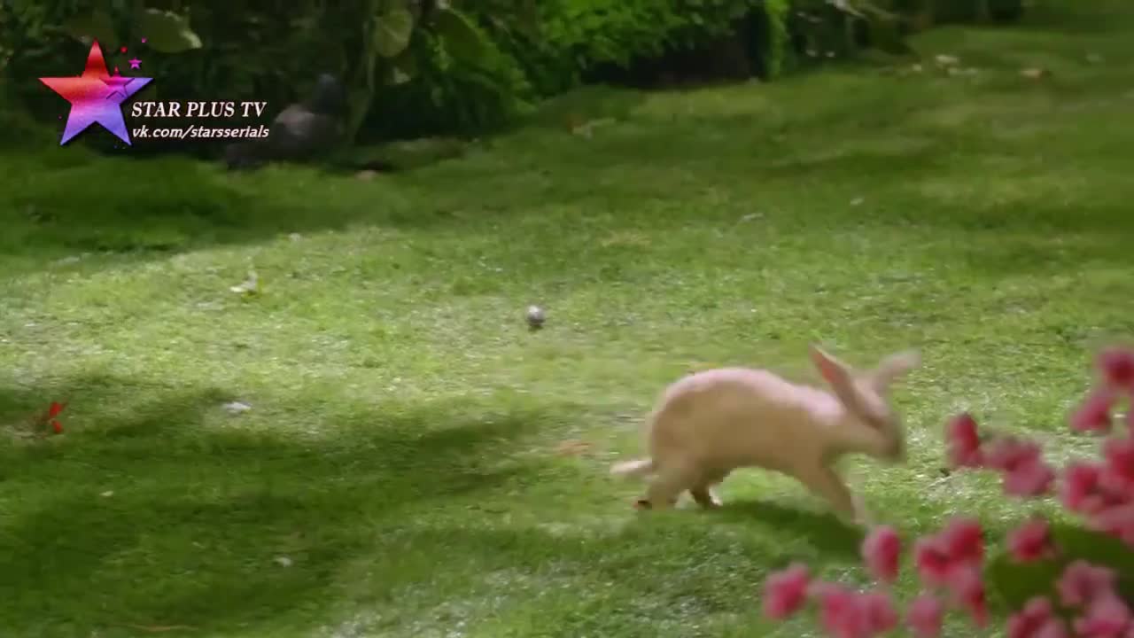 Лав и Куш 51 серия