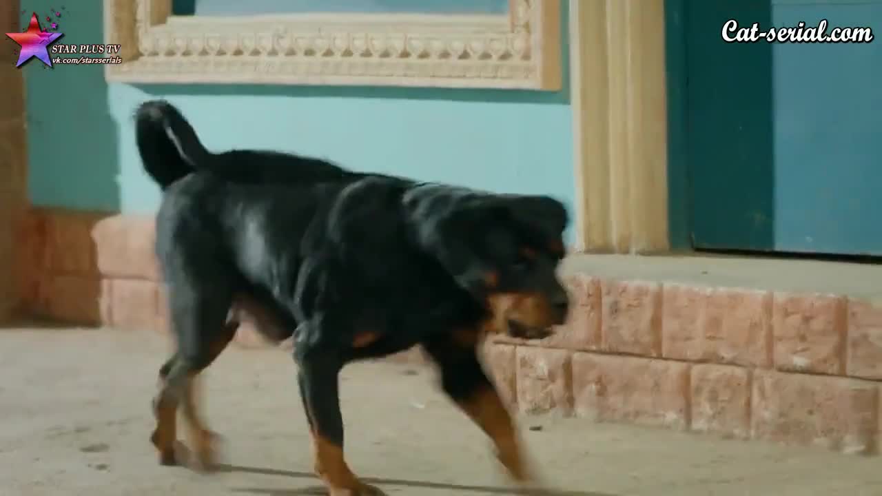 Летающая Раджу 68 серия Летающая Раджу 68 серия