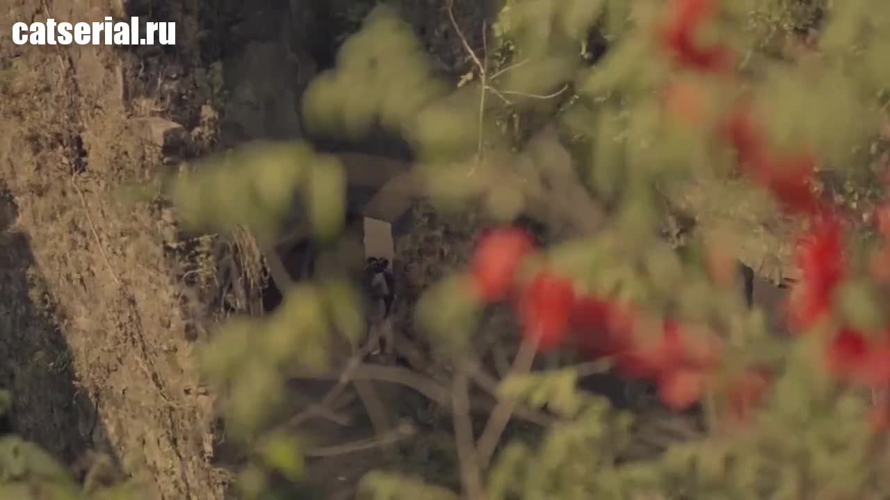 Отвращение 5 серия