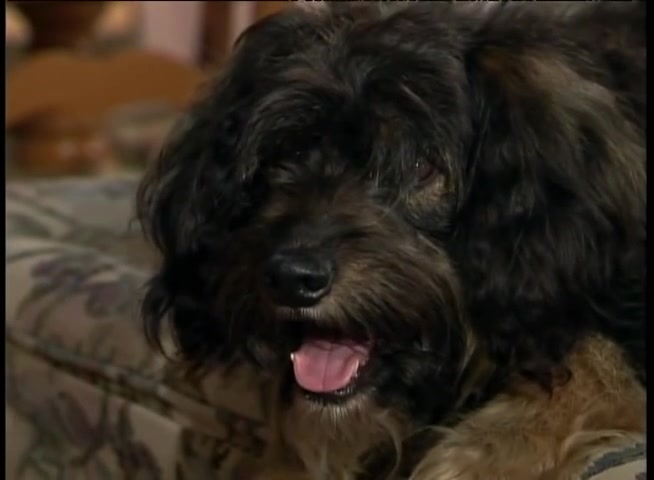 Маримар (1994) 47 серия