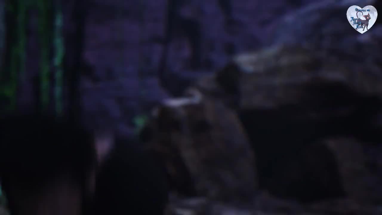 Женщина-змея (2015) 23 серия