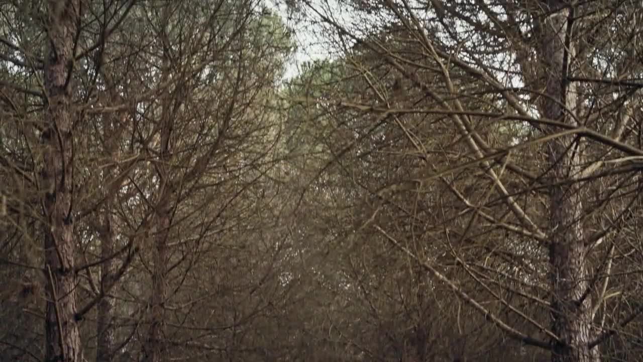 Основание Осман 76 серия Основание Осман 76 серия