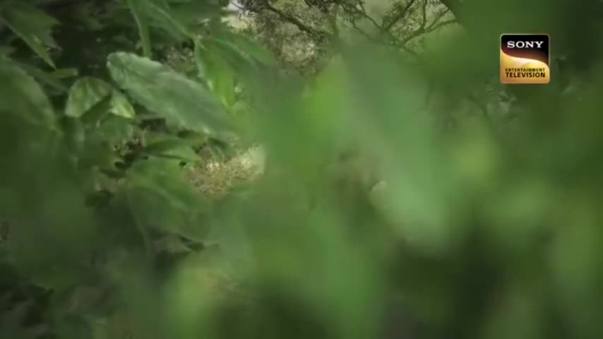 Ее имя Яшода 101 серия