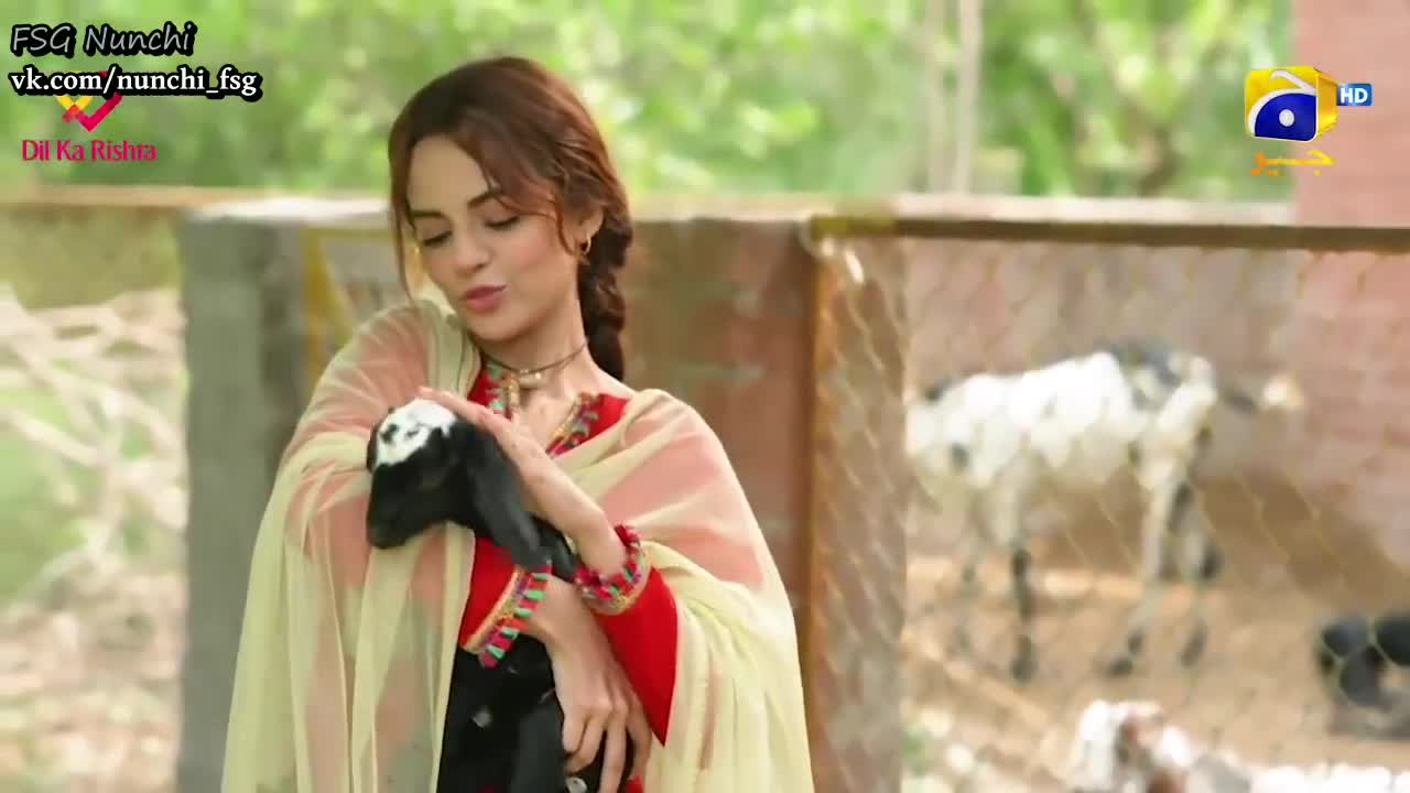 Каландар 1 серия Каландар 1 серия