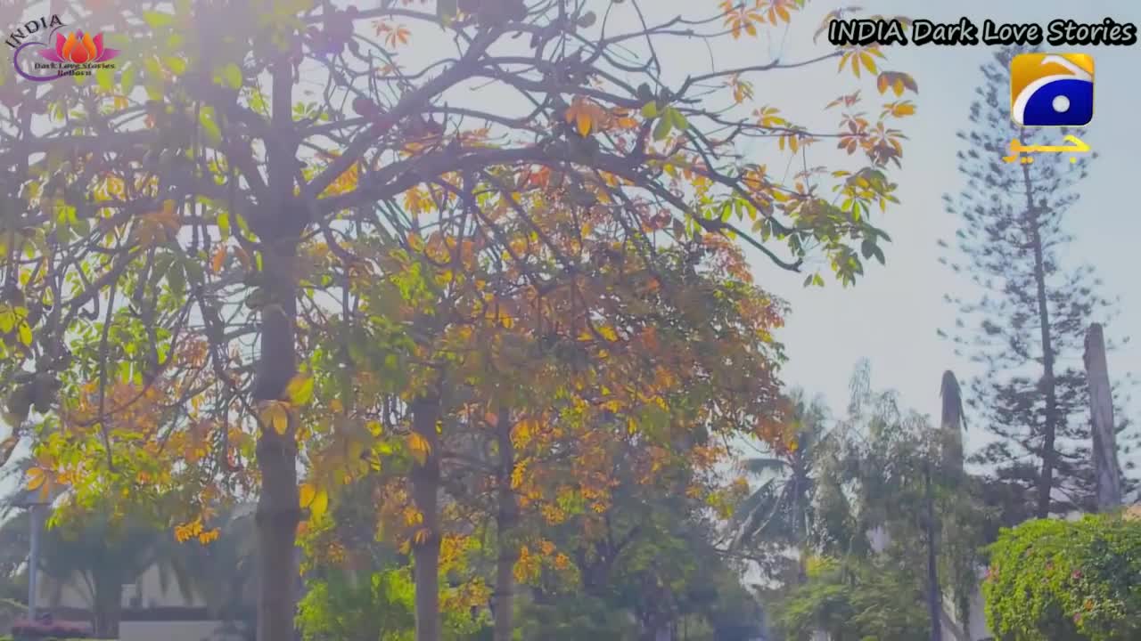 Театр 15 серия Театр 15 серия