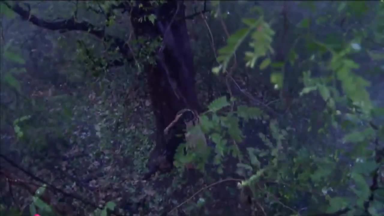 Бог Богов... Махадев 10 серия