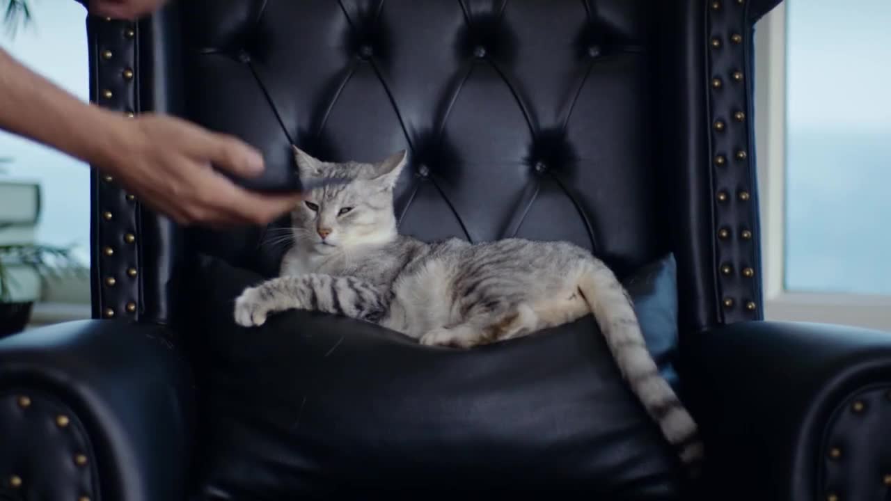 Запретный плод 25 серия Запретный плод 25 серия