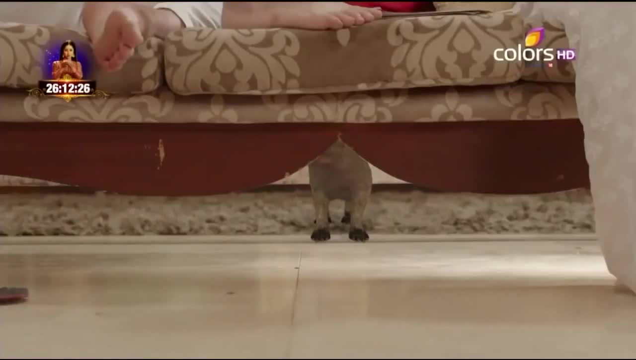 Женщина-змея 24 серия Женщина-змея 24 серия