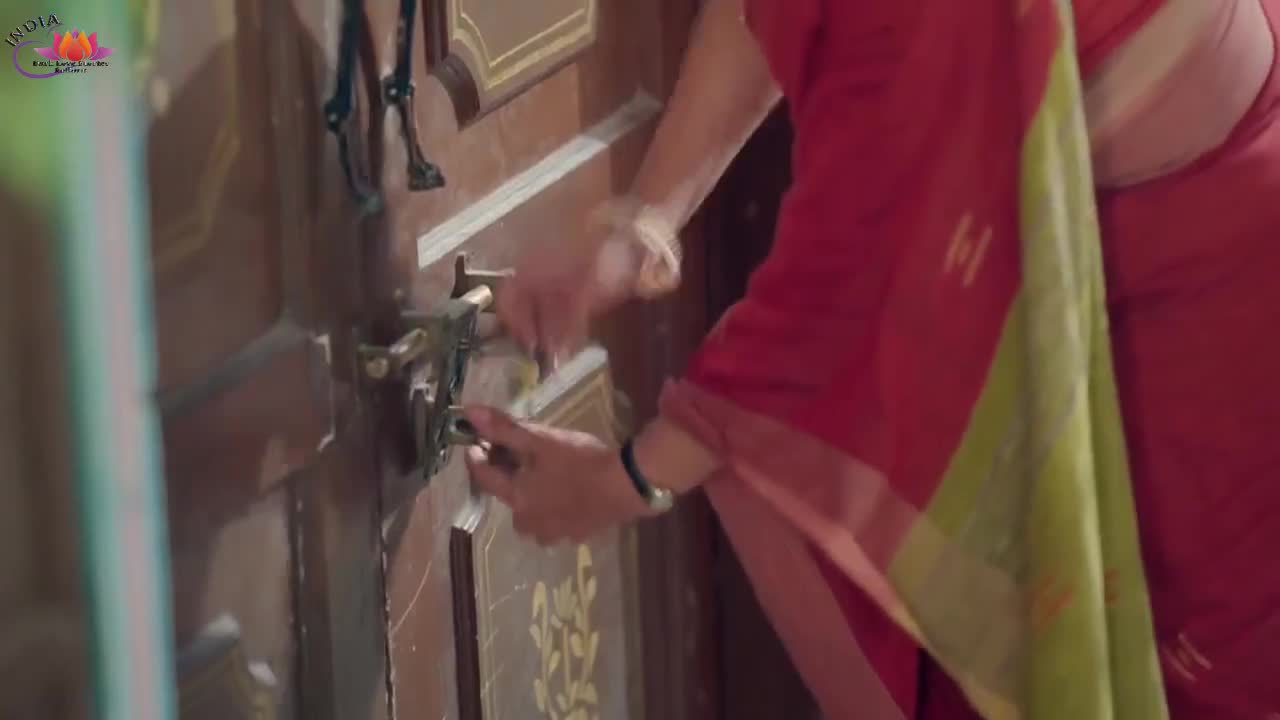 Мой любимый инспектор 220 серия