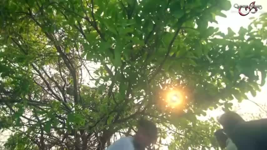 История Шории и Анохи 125 серия