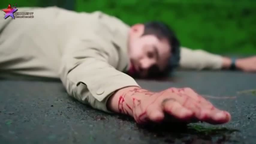 Бабочка 55 серия